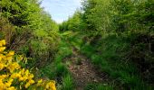 Tocht Stappen Gedinne - Balade dans les Fanges de l'Abîme - Gedinne - Photo 7