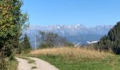 Trail Walking Mont-Saxonnex - Col de Cenise et plateau de Solaison - Photo 3
