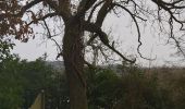 Trail Walking Cormeilles - cormeilles - Photo 18