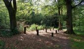 Randonnée Marche Champagney - parcours sportif des Épaisses à Champagney - Photo 1