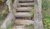 Percorso Marcia Herrin - herrin rl2 - Photo 6