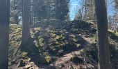 Percorso  Oberhaslach - Camping de luttenbach châteaux  - Photo 8