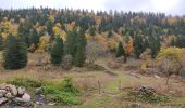 Tour Wandern Montaud - pas de la pierre taillée bec de Lorient  - Photo 6