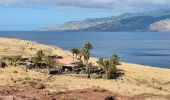 Tour Wandern Caniçal - Pointe de Sao Lourenço 6.5km - Photo 9