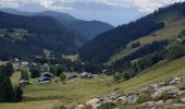 Tour Wandern Taninges - praz de lys - Photo 8