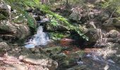 Trail Walking Jalhay - mon 8 de la statte  - Photo 16