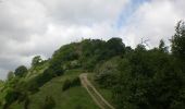 Trail On foot Ripoll - De Llaés al Castell de Milany - Photo 10