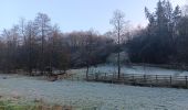 Trail Walking Ferrières - entre xhoris et bois de monty - Photo 18
