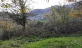 Trail Walking Willer-sur-Thur - Willer Ostein - Photo 1