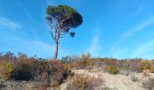 Excursión Senderismo Ille-sur-Têt - puig pedros  - Photo 8