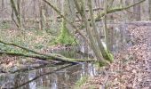 Excursión Senderismo Chaumont-Gistoux - #240216 - Bonlez, Aftia, Bruyères, Champ des Goffes**** - Photo 15