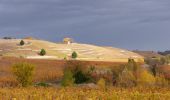 Trail Walking Tain-l'Hermitage - Tain 14km - Photo 4