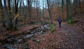 Trail Walking Spa - RS Spa 2024_11_17 - Photo 4