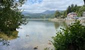 Tocht Stappen Murol - Lac Chambon dent du Marais. - Photo 4