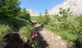 Excursión Senderismo Uvernet-Fours - LES LACS DE LA CAYOLLE - Photo 6