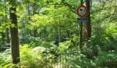 Trail Walking Assesse - Sart Bernard 010725 - Photo 11