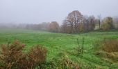 Trail Walking Namur - Wepion 211123 - Photo 7