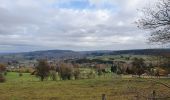 Tour Wandern La Roche-en-Ardenne - rando samrée 13/11/2020 - Photo 7