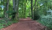 Trail Walking Seraing - bois de la vequée par les petits chemins (version courte) - Photo 7
