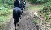 Trail Horseback riding Montsauche-les-Settons - Tracé cimetière militaire stèle  - Photo 9