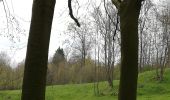 Tocht Stappen Morlanwelz - promenade bois et parc de mariemont - Photo 18