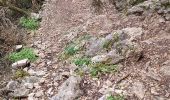 Trail Walking Montmeyan - les basses gorges de quinson - Photo 5