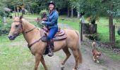 Trail Horseback riding Baccarat - Randonnée fouy Alex Tivio  - Photo 5