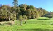 Tour Wandern Anhée - Adeps Sosoye-Maredret 12-11-2022 - Photo 9