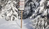 Trail Cross-country skiing Mijoux - Les louvatieres en coupant par le passage des dames - Photo 2
