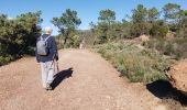 Tour Wandern Théoule-sur-Mer - Théoule, le rocher des Monges, N.D d'Afrique - Photo 20