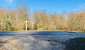 Randonnée Marche Lacroix-Saint-Ouen - en forêt de Compiègne_45_sur les Routes de Morienval et de Champlieu - Photo 9