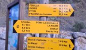 Trail Walking Roquefort-des-Corbières - Roquefort des Corbières  - Photo 16