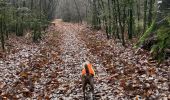 Randonnée Marche Léglise - Bombois - Photo 10