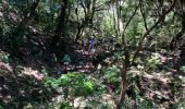 Trail Walking São Roque do Faial - Le chaudron vert  - Photo 14