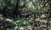 Excursión Senderismo São Roque do Faial - Le chaudron vert  - Photo 14