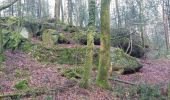 Trail Walking Camors - PR_56_Camors_CA_03_Tro-Bourk_Circuit1b_20240126 - Photo 5