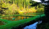 Tour Zu Fuß Grömbach - Pfaffenstube-Göttelfingen - Photo 2