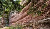 Tour Wandern Celles-sur-Plaine - celles sur plaine - Photo 10