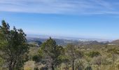 Excursión Senderismo Aubagne - Le Garlaban par le scolopendre - Photo 4