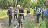 Tocht Stappen Badonviller - La Vierge Clarisse VOSGES - Photo 9