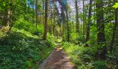 Randonnée Marche Bièvre - Promenade de la Roche Mouselle - Petit-Fays - Photo 10