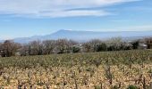 Percorso Marcia Sorgues - Balade dans les vignes de Châteauneuf-du-Pape - Photo 2