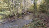 Excursión Senderismo Saint-Hubert - milwart route langs rivier en bos - Photo 18