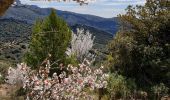 Tour Wandern Gémenos - Col de L'Espigoulier, col de Bretagne, Dents de Roque Forcade A/R - Photo 6