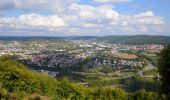 Tocht Te voet Obrigheim - Rundwanderweg Bickeldorn 6: Schloss-Neuburg-Weg - Photo 6