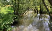 Tocht Stappen Le Vast - Le long de la vallée de la Sairre - Photo 1