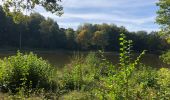 Trail Walking Meerfeld - Meerfelder Maar en Waldsbornkratersee (PVDB ) - Photo 13