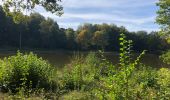 Tocht Stappen Meerfeld - Meerfelder Maar en Waldsbornkratersee (PVDB ) - Photo 13