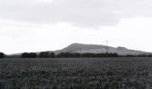 Tour Zu Fuß Hörselberg-Hainich - Kammweg Hörselberge (Roter Balken) - Photo 10