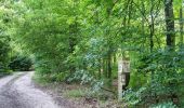 Tocht Te voet Belgern-Schildau - Belgern-Pfarrbrücke - Photo 5